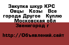 Закупка шкур КРС , Овцы , Козы - Все города Другое » Куплю   . Московская обл.,Звенигород г.